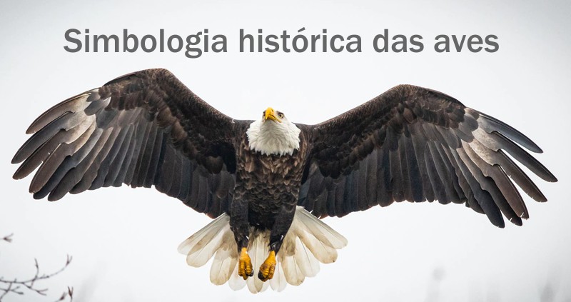 simbologia historica das aves